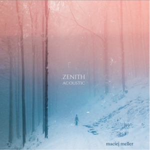 Read more about the article Maciej Meller – “Zenith Acoustic” [Recenzja]