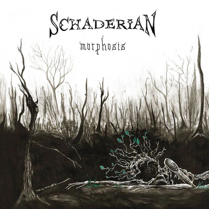 schaderian-morphosis-recenzja