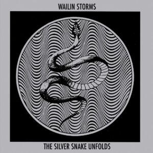 Read more about the article Wailin Storms – „The Silver Snake Unfolds” [Recenzja]