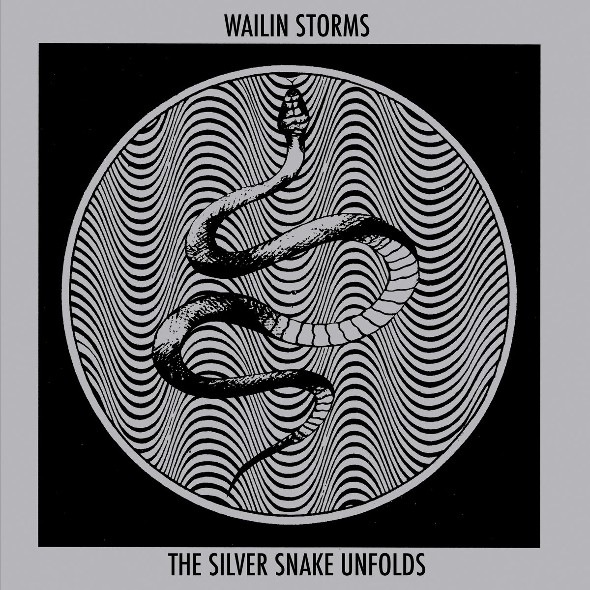 wailin-storms-the-silver-snake-unfolds