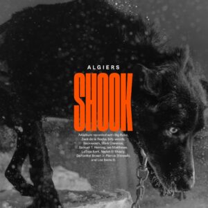 Read more about the article Algiers – „Shook” [Recenzja], dystr. Sonic Records