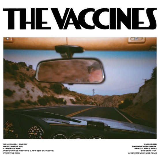 the-vaccines-pick-up-full-of-pink-carnations-recenzja