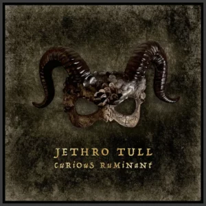 Read more about the article Jethro Tull – „Curious Ruminant” [Recenzja]