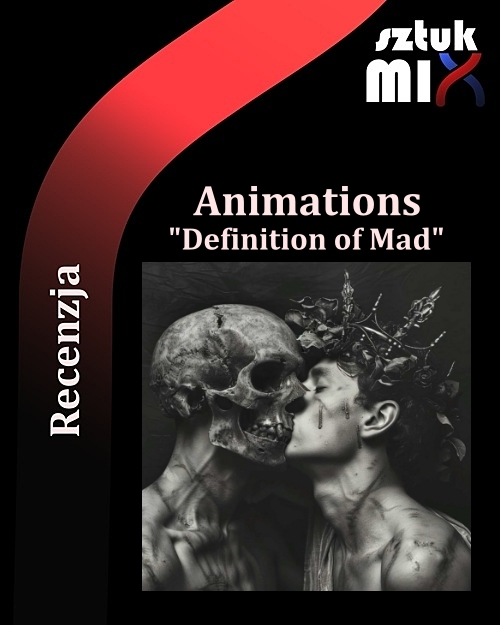 Read more about the article Animations – „Definition of Mad” [Recenzja]